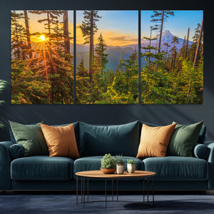Forest Sunset Wall Art Canvas Print, Glowing Evening Light