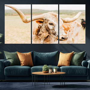 Texas Longhorn Wall Art Canvas Print – Framed Spotted Cow