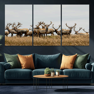 Elk Herd Wall Art Canvas Print – Framed Wildlife Photography