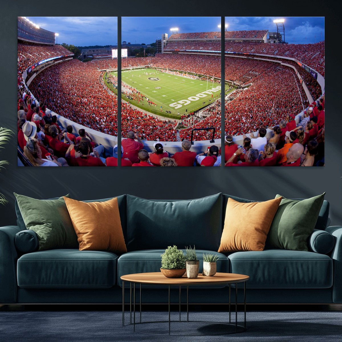 Dooley Stadium Wall Art, Sports Arena Canvas Print, Dooley