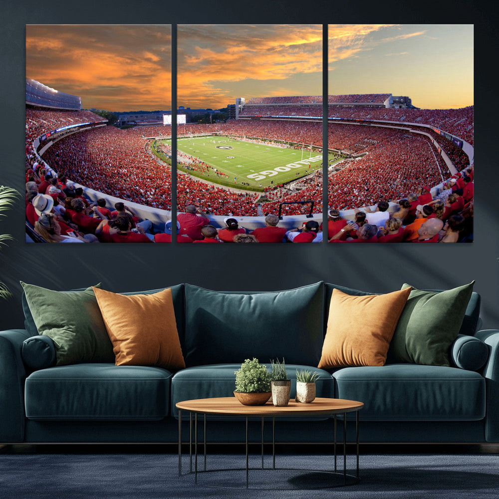 Dooley Stadium Wall Art, Sports Arena Canvas Print, Dooley