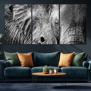 Wild Old Elephant Wall Art Canvas Print