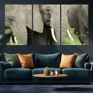 Wild Elephant Wall Art Canvas Print