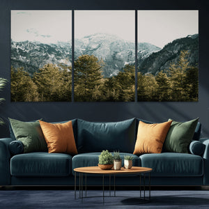 Mountain Forest Wall Art Canvas Print, Alpine Landscape