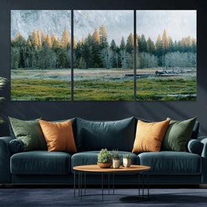 Forest Meadow Wall Art Canvas Print, Pine Tree Landscape