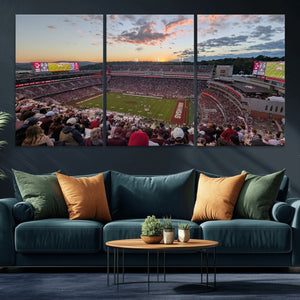 Donald W. Reynolds Razorback Stadium Wall Art Canvas Print –
