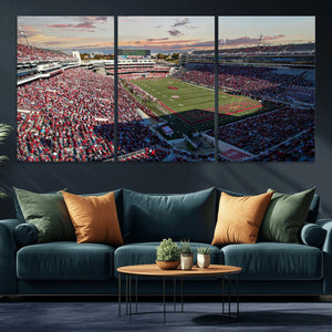 Donald W. Reynolds Razorback Stadium Wall Art Canvas Print –