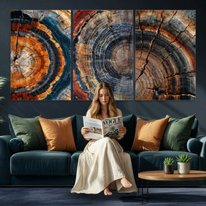 Tree Ring Triptych Canvas Wall Art — Set of 3 Wood Grain