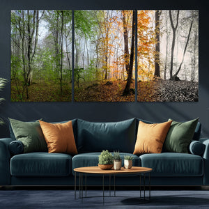 Four Seasons Wall Art Forest Canvas Print – Triptych