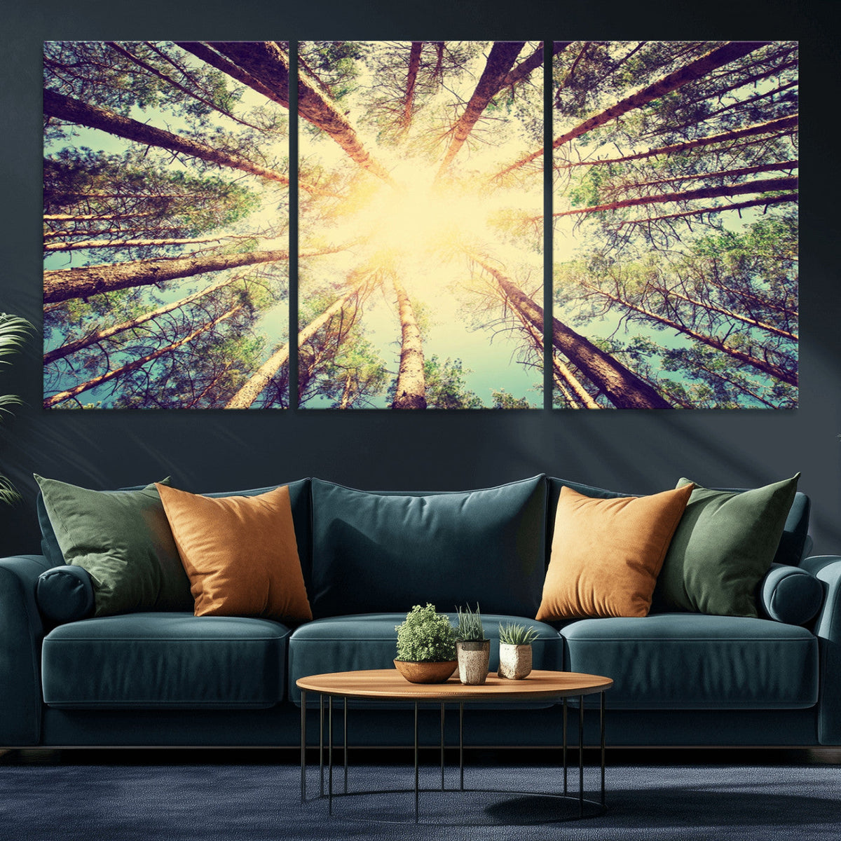 Tree and Sunshine Canvas Print