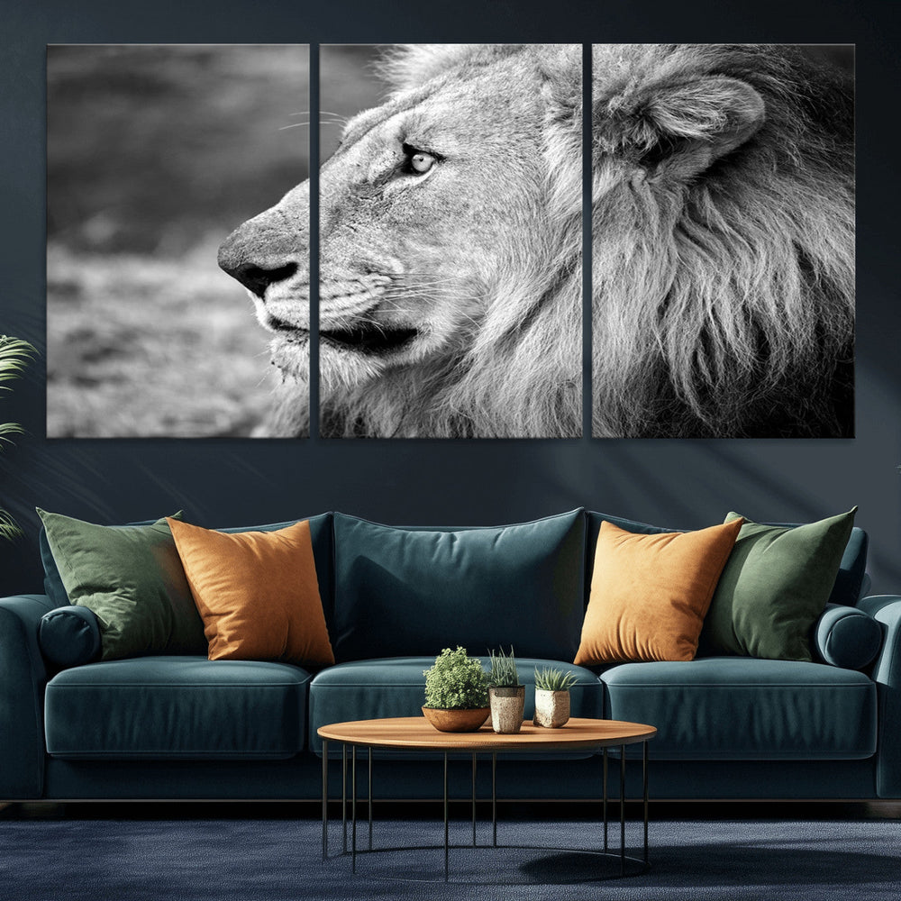 Lion Wall Art Canvas Print – Framed Majestic Wildlife