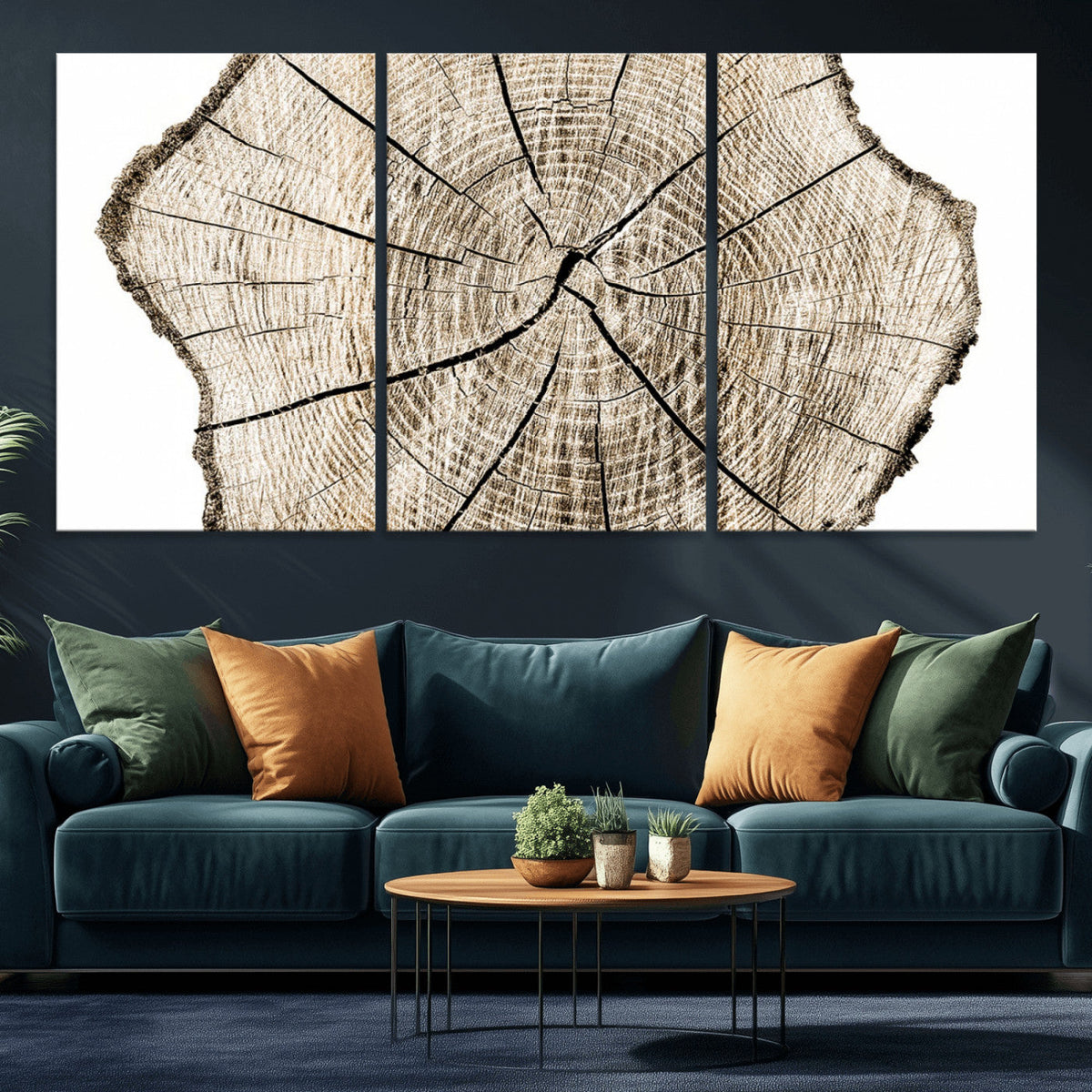 Abstract Wood Tree Ring Wall Art - Ready to Hang Minimalist
