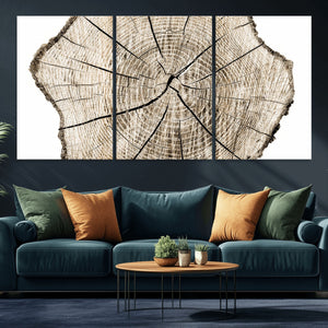 Abstract Wood Tree Ring Wall Art - Ready to Hang Minimalist