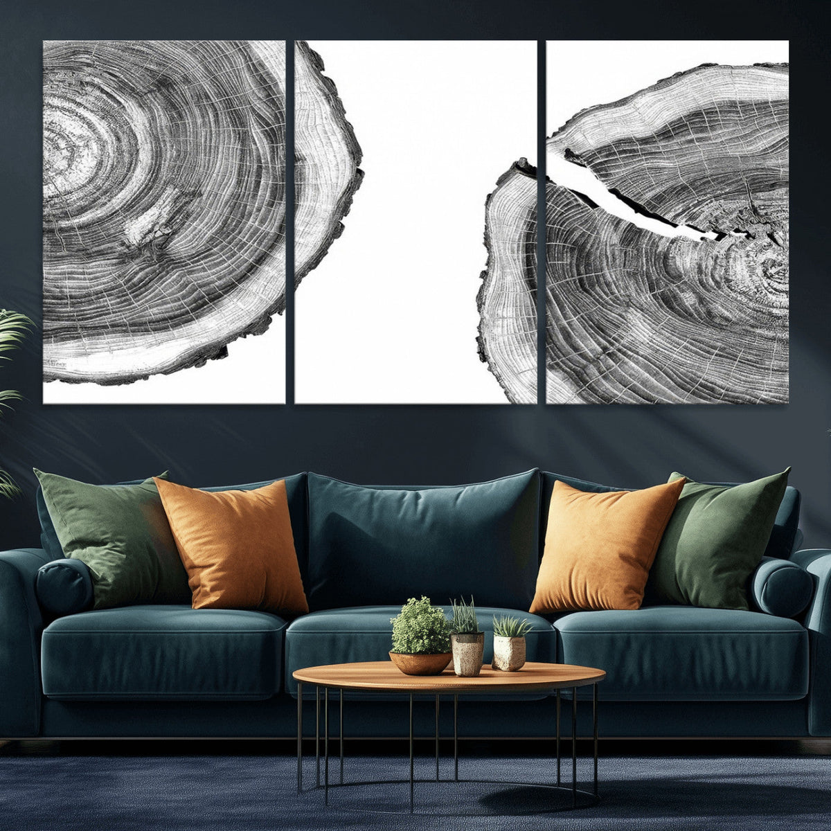 Abstract Large Tree Rings – Minimalist Black and White Wood