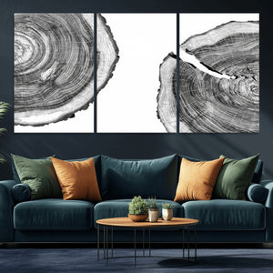 Abstract Large Tree Rings – Minimalist Black and White Wood
