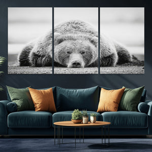 Resting Grizzly Bear Wall Art Canvas Print – Majestic Lazy