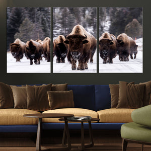 Bison Wall Art Canvas Print- Bison Herd Canvas Wall Art –