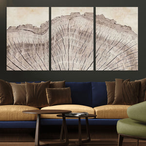 Tree Ring Wall Art Triptych, Rustic Wood Ring Canvas Print,