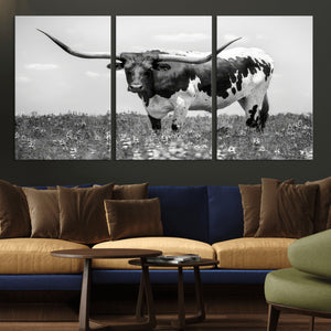 Texas Black White Highland Longhorn Cow Wall Art Canvas