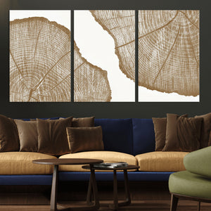 Rustic Brown Tree Ring Wall Art Canvas Print – Framed and