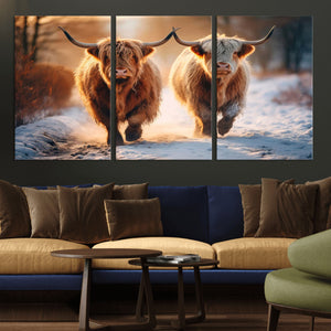 Scottish Highland Cow Horn Farm Wall Art Canvas Print