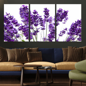 Lavender Flower Wall Art Canvas Print