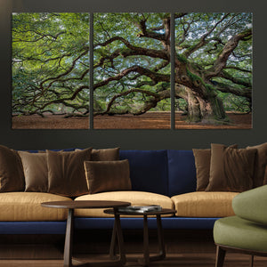 Historic Tree Wall Art – Framed Mossy Branch Canvas Artwork,