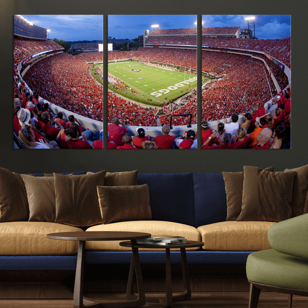 Dooley Stadium Wall Art, Sports Arena Canvas Print, Dooley