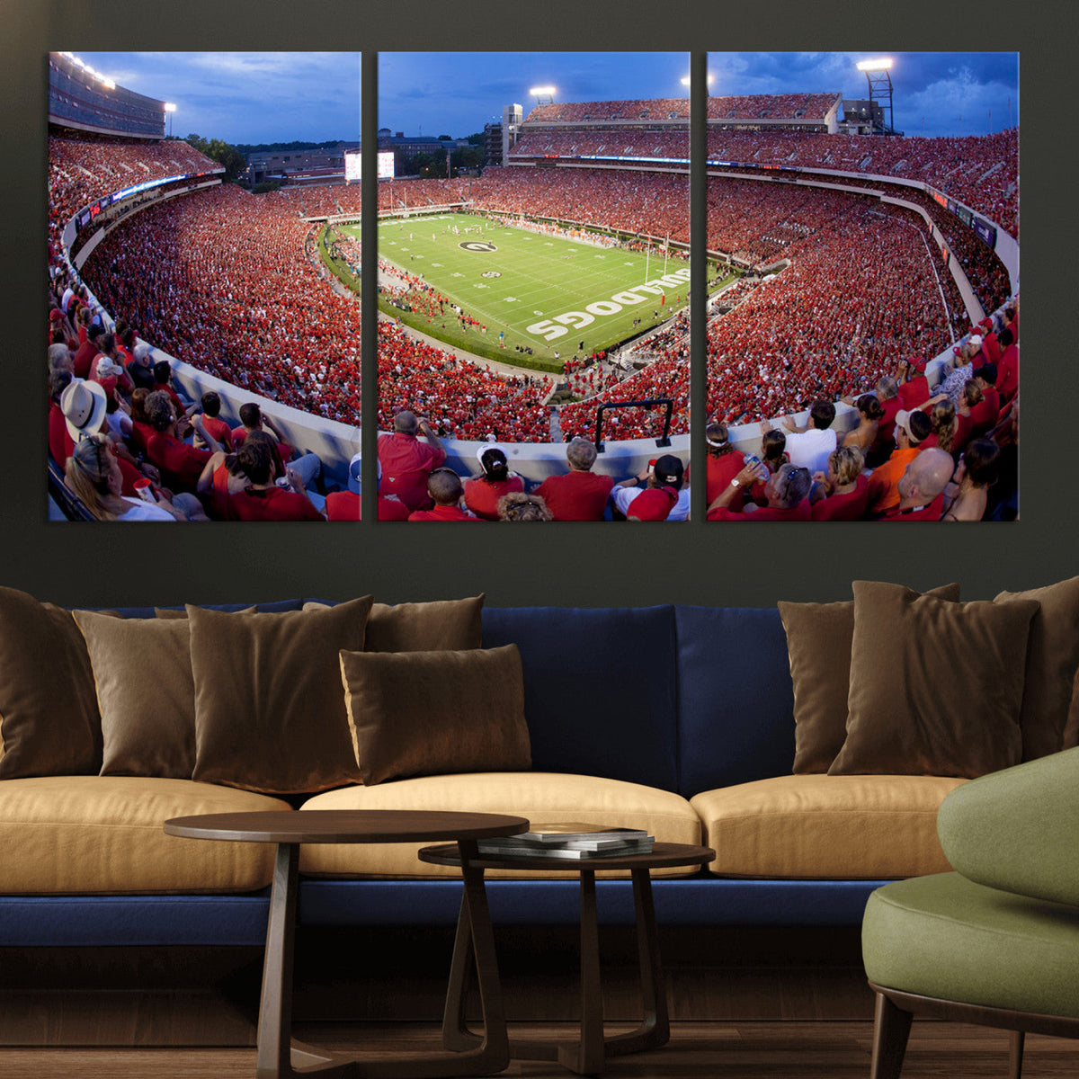 Dooley Stadium Wall Art, Sports Arena Canvas Print, Dooley