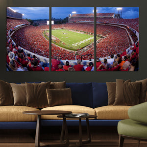 Dooley Stadium Wall Art, Sports Arena Canvas Print, Dooley