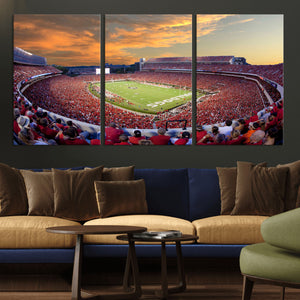 Dooley Stadium Wall Art, Sports Arena Canvas Print, Dooley