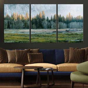 Forest Meadow Wall Art Canvas Print, Pine Tree Landscape