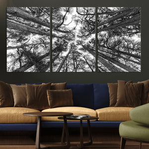 Trees Contemporary Art Canvas Print