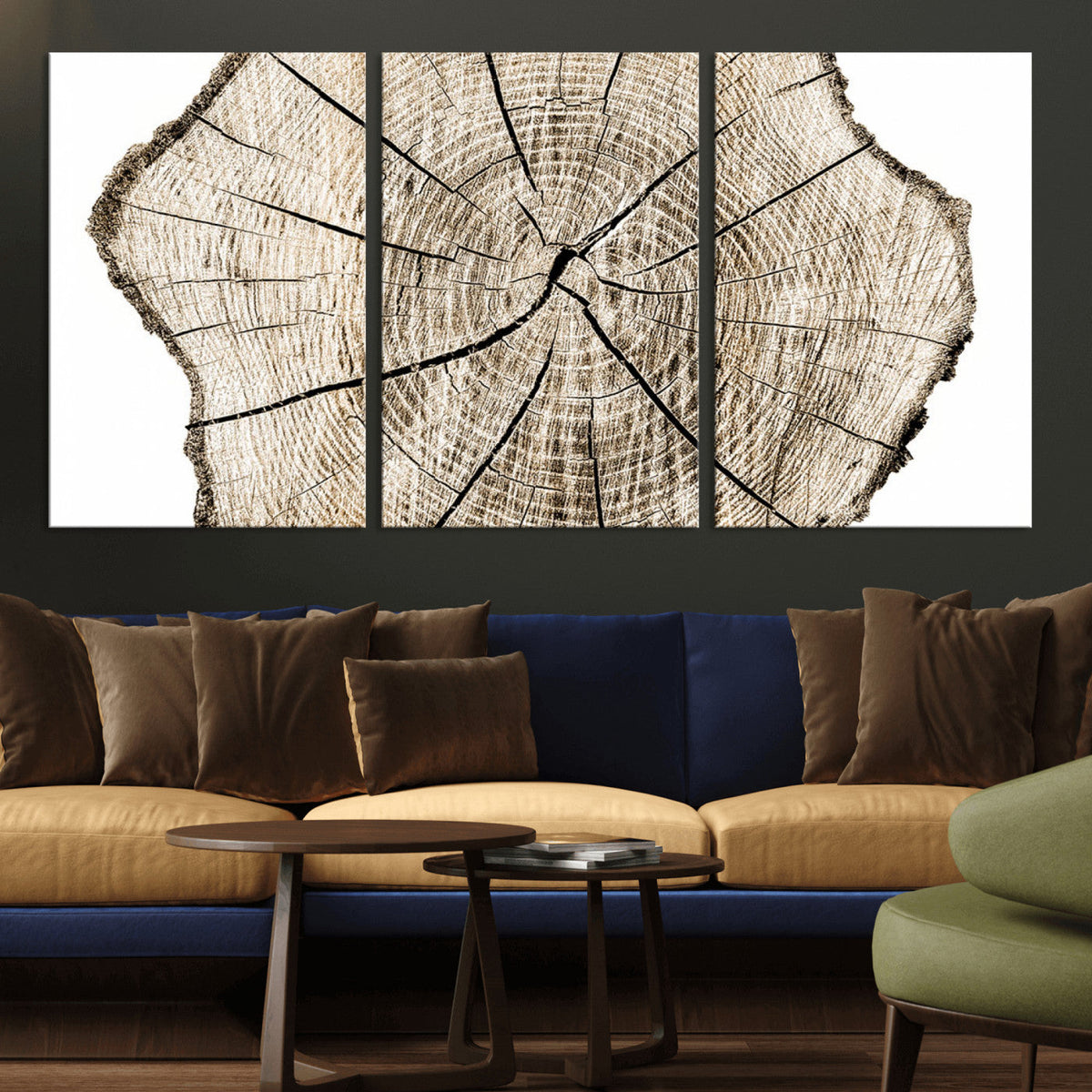 Abstract Wood Tree Ring Wall Art - Ready to Hang Minimalist