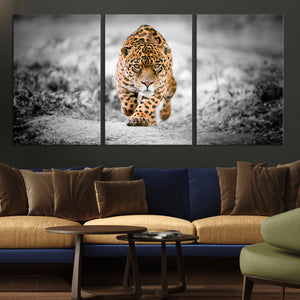 Jaguar Wall Art Canvas Print - Majestic Big Cat in Focused