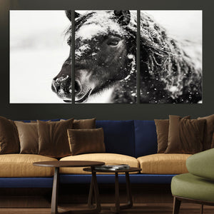 Framed Black and White Horse Wall Art | Ready to Hang and