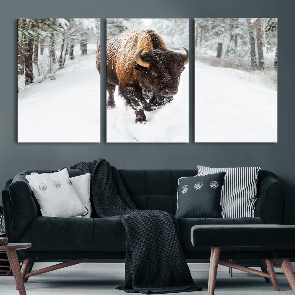 Bison Wall Art Canvas Print For Farmhouse, Animal Canvas