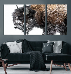 American Bison Wall Art Print – Majestic Buffalo Canvas