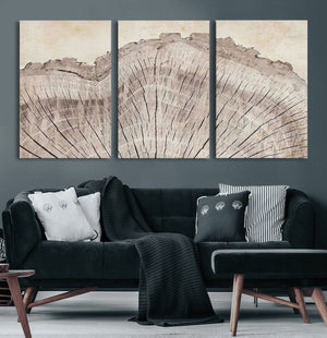 Tree Ring Wall Art Triptych, Rustic Wood Ring Canvas Print,