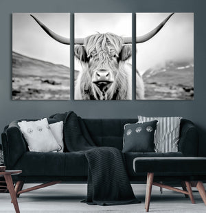 Scottish Cow Wall Art Canvas Print