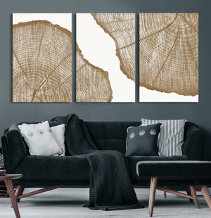 Rustic Brown Tree Ring Wall Art Canvas Print – Framed and
