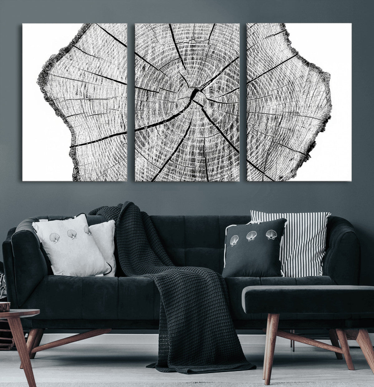 Rustic Tree Ring Wall Art Canvas Print – Framed and Ready to
