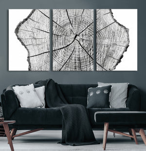 Rustic Tree Ring Wall Art Canvas Print – Framed and Ready to