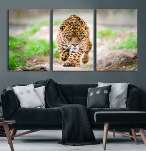 Leopard on the Prowl - Stunning Large Framed Leopard Wall