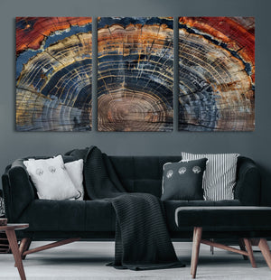 Abstract Tree Ring Wall Art Canvas Print