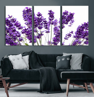 Lavender Flower Wall Art Canvas Print
