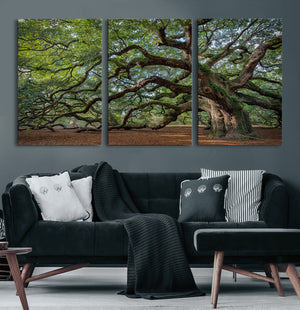 Historic Tree Wall Art – Framed Mossy Branch Canvas Artwork,