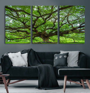 Angel Oak Tree Wall Art Canvas Print – Framed Majestic