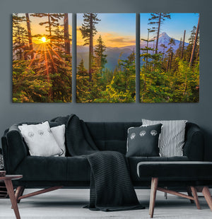 Forest Sunset Wall Art Canvas Print, Glowing Evening Light