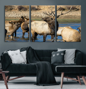 Wild Elk Wall Art Canvas Print – Framed Neutral Wildlife